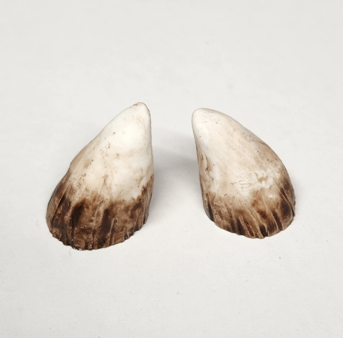 Aradani Resin Glue-on Horns - Medium