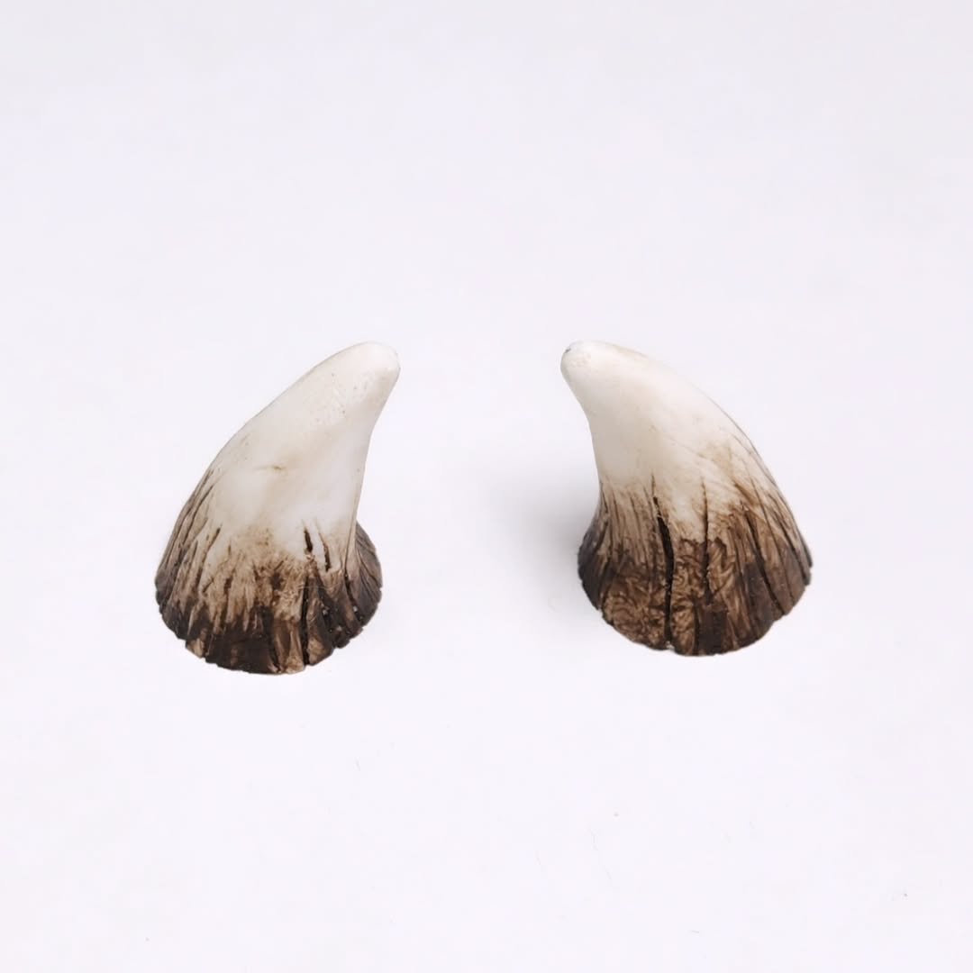 Aradani Resin Glue-on Horns - Small