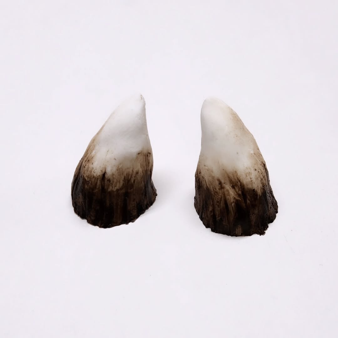 Aradani Resin Glue-on Horns - Medium