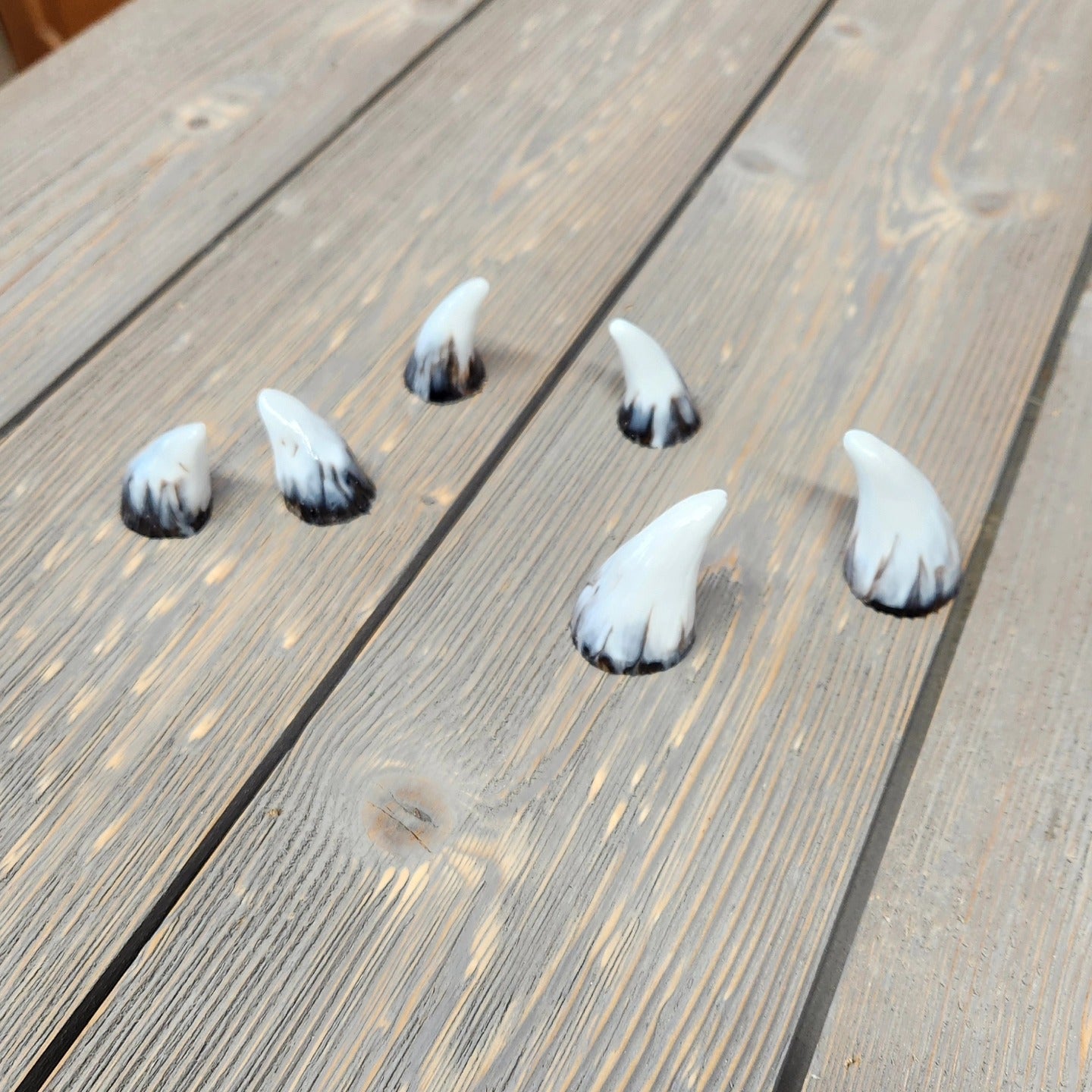 Assorted Aradani Resin Glue-on Horns - Aged Bone Swirl