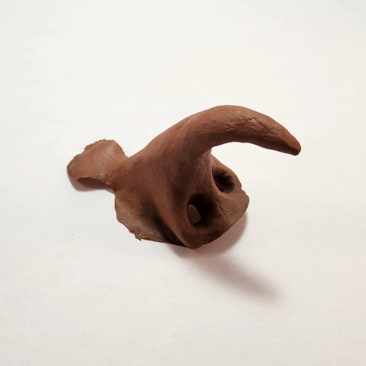 Witch Nose