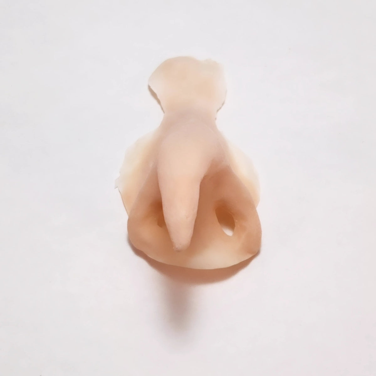 Witch Nose
