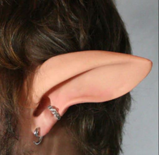 Faun Ears