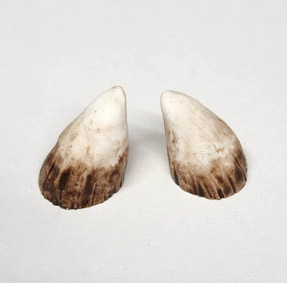 Aradani Resin Glue-on Horns - Medium