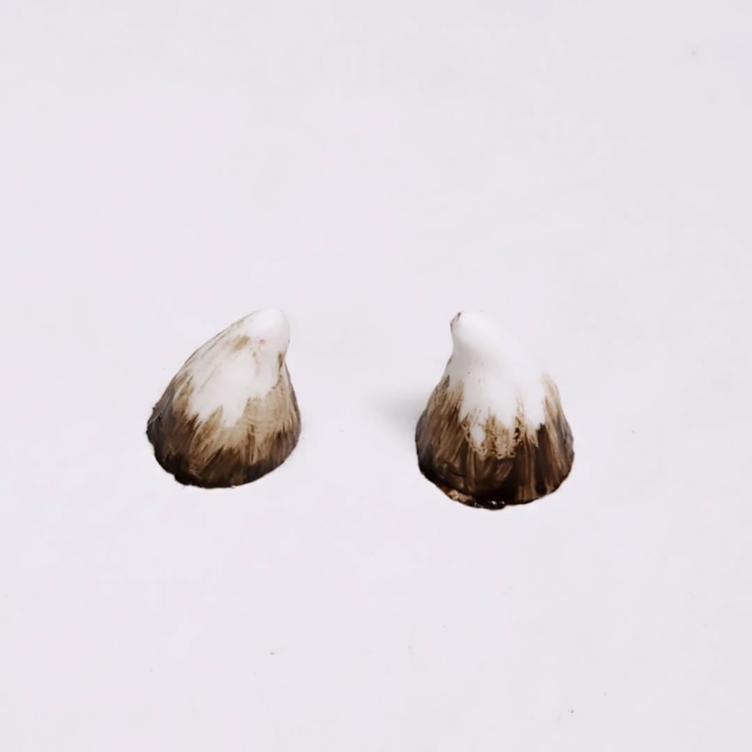 Aradani Resin Glue-on Horns - Tiny