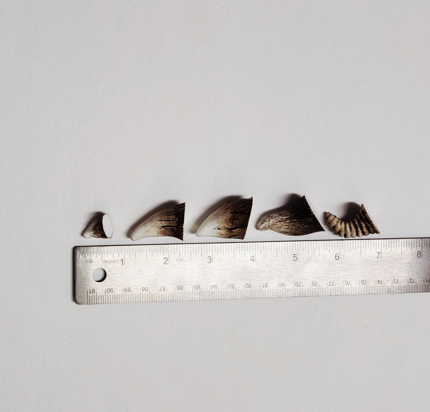 Aradani Resin Glue-on Horns - Small Woodland Fae