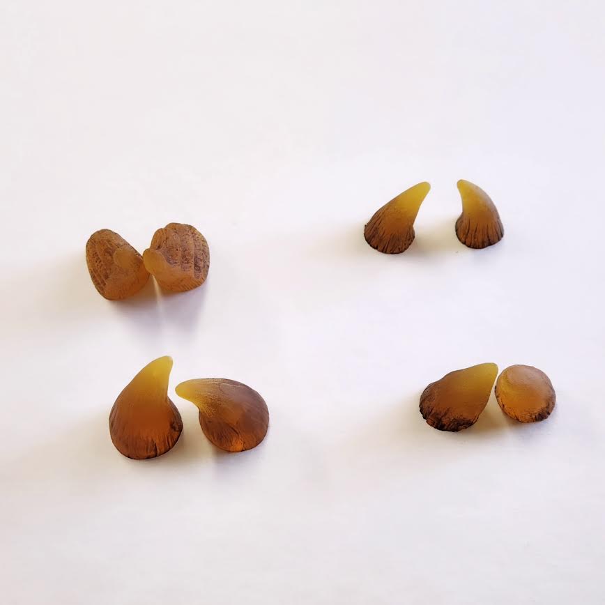 Assorted Aradani Resin Glue-on Horns - Aged Amber