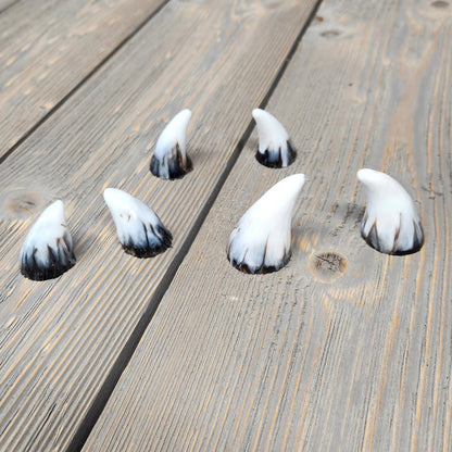 Assorted Aradani Resin Glue-on Horns - Aged Bone Swirl