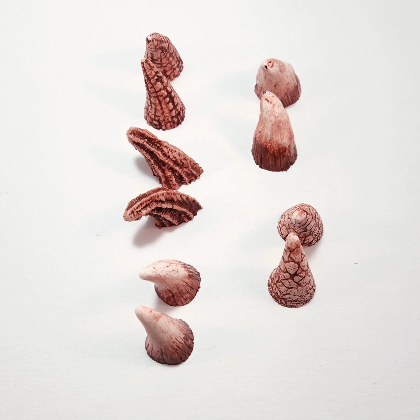 Assorted Aradani Resin Glue-on Horns - Volcano