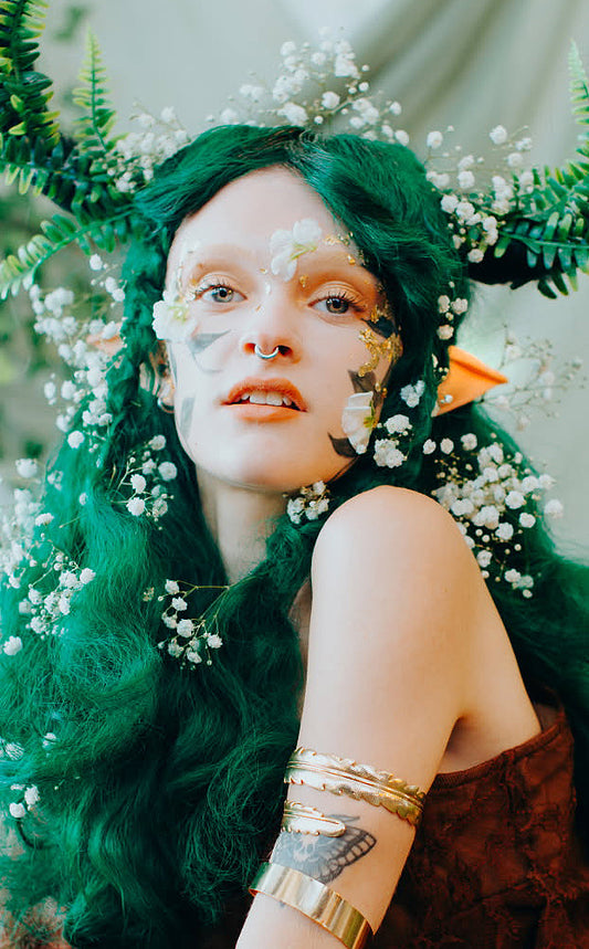 Hero Elf Ears