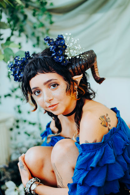 Sprite Ears