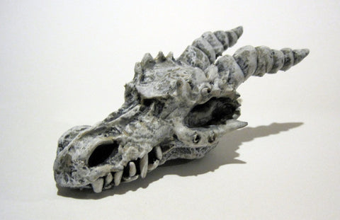 Dragon Skull