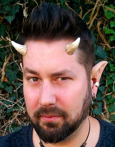 Aradani Resin Glue-on Horns - Small