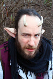 Aradani Resin Glue-on Horns - Oryx Horns