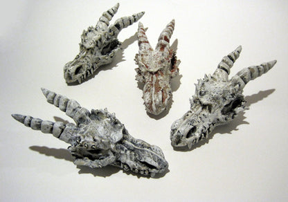 Dragon Skull