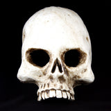 Skull Mask