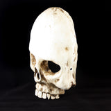 Skull Mask